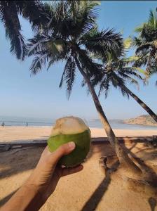 a hand holding a coconut in front of a beach at Sandcastle Cottages 3 WiFi - SmartTV - Parking - Diveagar in Diveagar