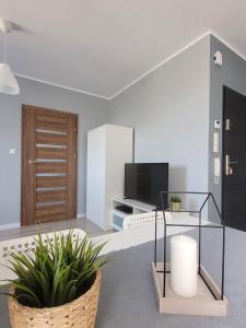 a living room with a television and a table with a plant at Apartament Słowińców 42 in Wejherowo