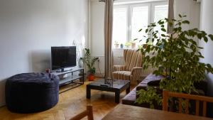 ein Wohnzimmer mit einem Sofa und einem TV in der Unterkunft Útulný byt blízko centra in Koliba
