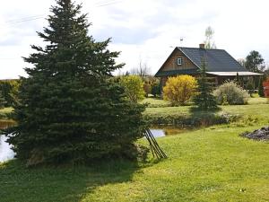 Przyroda w pobliżu tego gospodarstwa agroturystycznego