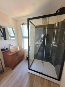 bagno con doccia in vetro e lavandino di La maison des castors -1 flat and 1 studio a Bièvres