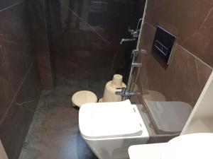Vannituba majutusasutuses Hotel Rajshree