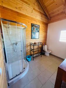 ein Bad mit einer Dusche und einem WC in der Unterkunft Kokoa Sands - Ankasy Madagascar in Tsiandamba