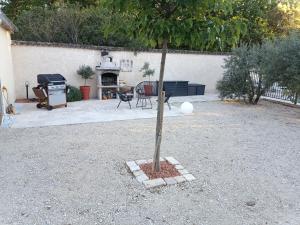 un pequeño árbol en un jardín con parrilla en Maison gîte avec spa privé & piscine, en Mondragon