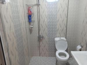 a bathroom with a toilet and a sink at VILLA MEYSARY in Shamakhi