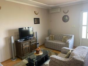 a living room with a tv and a couch at Skadar Lake Apartment -Karolina in Vranjina