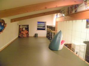 a room with a shark figure on the floor at B&BHOUSE FAM in Ichinomiya