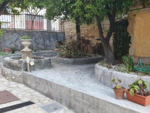 Aed väljaspool majutusasutust Il Daviduccio Suite