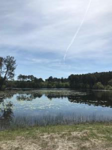 Naturlandschaft in der Nähe des Ferienparks
