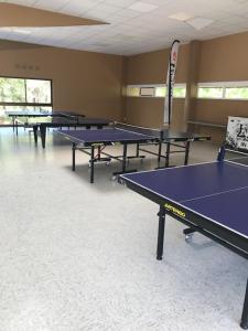 Tischtennis in der Unterkunft Village Vacances aux Villages sous les Pins oder in der Nähe
