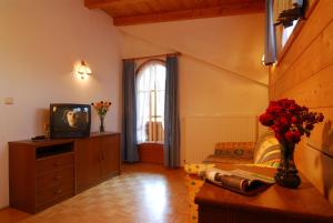 Sala de estar con cama y TV en Zillertal Apartments, en Hippach