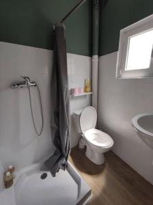 ein Bad mit einer Dusche, einem WC und einem Waschbecken in der Unterkunft Joli studio du Vallespir in Amélie-les-Bains-Palalda