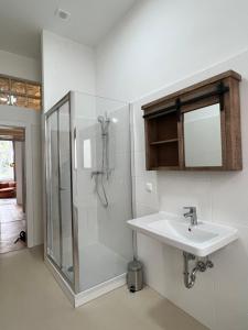 a bathroom with a sink and a shower at NEW Exclusive 100m2, Top location! in Vienna