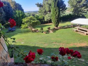 a view of a park with red roses at Il Moreto in Casale Marittimo