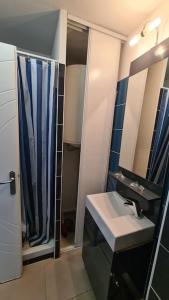 a bathroom with a sink and a shower at Studio Cosy Perpignan Pte Espagne 310 in Perpignan