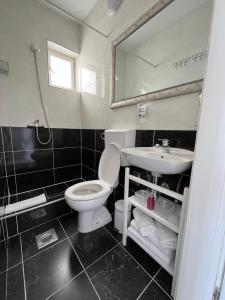 a bathroom with a toilet and a sink and a mirror at Soko Apartments & Rooms in Zaton