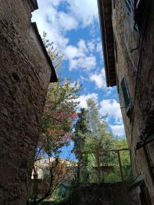 un callejón entre dos edificios con árboles en el fondo en 44 Ricci, en Anghiari