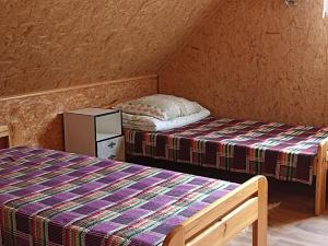 Cette chambre mansardée comprend deux lits et une petite armoire. dans l'établissement Zielona Dolina, à Lewkowo