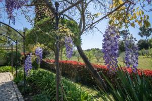 a garden of flowers with purple flowers at Hotel Les Messugues in Saint-Paul-de-Vence