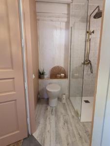 a bathroom with a toilet and a shower at Maison Pimoli : Chambre Garance in Soustons