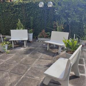 3 bancs blancs assis sur un patio avec des plantes dans l'établissement Meu abrigo, à Récife