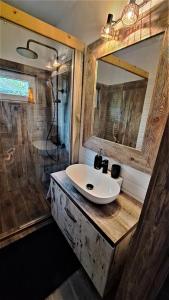 La salle de bains est pourvue d'un lavabo et d'une douche. dans l'établissement Lake House Siófok, à Siófok