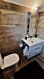 a bathroom with a sink and a toilet and a mirror at Lake House Siófok in Siófok