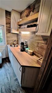 a kitchen with wooden cabinets and a counter top at Lake House Siófok in Siófok