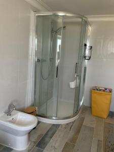a bathroom with a shower and a toilet and a sink at Burrow Park Farmhouse in Port Isaac