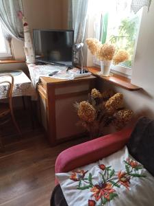 Telewizja i/lub zestaw kina domowego w obiekcie Zielona Dolina