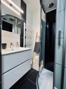 y baño con lavabo y espejo. en STUDIO CENTRE STATION - REFAIT A NEUF 4 PERSONNES, en Laveissière