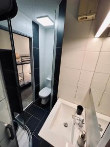 a bathroom with a sink and a toilet at STUDIO CENTRE STATION - REFAIT A NEUF 4 PERSONNES in Laveissière