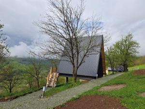 Pokrajina v okolici počitniške hiške