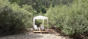 due sedie e un gazebo in una foresta di Casa do Rio a Coimbra