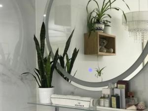 a bathroom with a mirror and a plant on a shelf at Greatforest Rosehill 2 Apartman in Debrecen