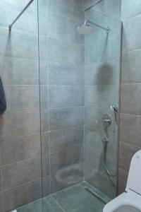 ein Bad mit einer Glasdusche und einem WC in der Unterkunft Видовые апартаменты в здании Manor in Tivat