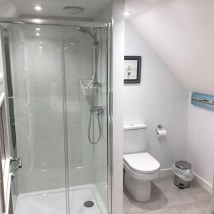 Westmains Lodge في كالالندر: حمام مع دش ومرحاض