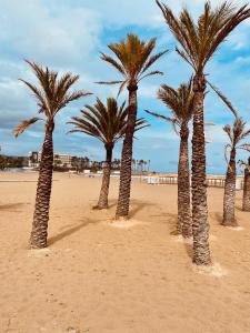 a row of palm trees on a sandy beach at Schöne Unterkunft mit Pool und Terrasse. in Denia