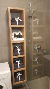 La salle de bains est pourvue d'une douche et d'un portant de serviettes. dans l'établissement Sarajevo New Apartments, à Sarajevo
