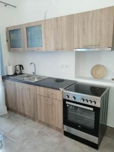 Il comprend une cuisine équipée d'une cuisinière et d'un évier. dans l'établissement Sunrise Apartments - Aegean Blue, à Kalymnos