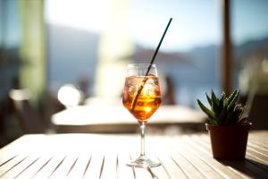 a glass of wine sitting on a table with a plant at BAIA in Brenzone sul Garda