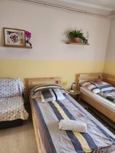 two twin beds in a room with at Orsi Apartman / vendegház in Kecskemét