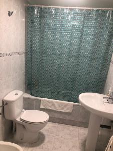 La salle de bains est pourvue de toilettes et d'un rideau de douche vert. dans l'établissement Apartamento con vistas al mar y piscina II, à Suances