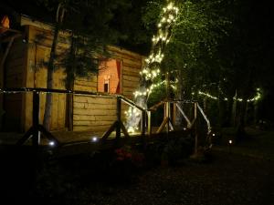 a wooden cabin with christmas lights in the dark at Cosy Crann #Find Your Escape in Loughrea