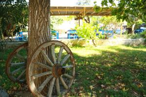 an old woodenokedoked wheel sitting next to a tree at Dardanos Hotel in Patara