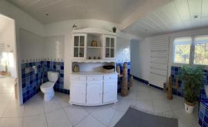 a bathroom with a toilet and blue tiled walls at GÎTE LA MOUNTAGNA in Peyroules