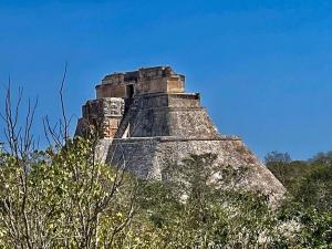 Una pirámide grande sentada sobre algunos árboles. en Surrounded by Cenotes, Mayan sites and Haciendas, en Seyé