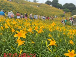Giardino di HeMei Homestay