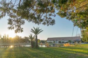 a park with a palm tree and a building at Abri Cosy - Suite Romantique in Saint-Gilles