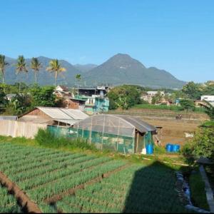 a farm with a greenhouse in the middle of a field at Family Villa C37 Batu in Batu